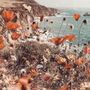 Meet your Posher, Ava